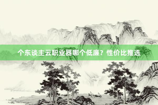 个东谈主云职业器哪个低廉？性价比推选