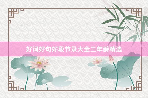 好词好句好段节录大全三年龄精选