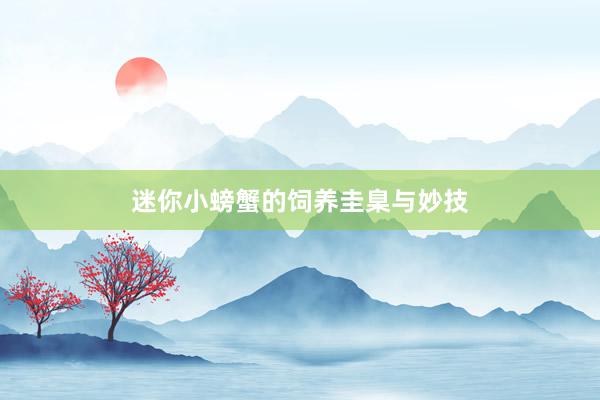 迷你小螃蟹的饲养圭臬与妙技