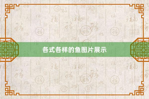 各式各样的鱼图片展示