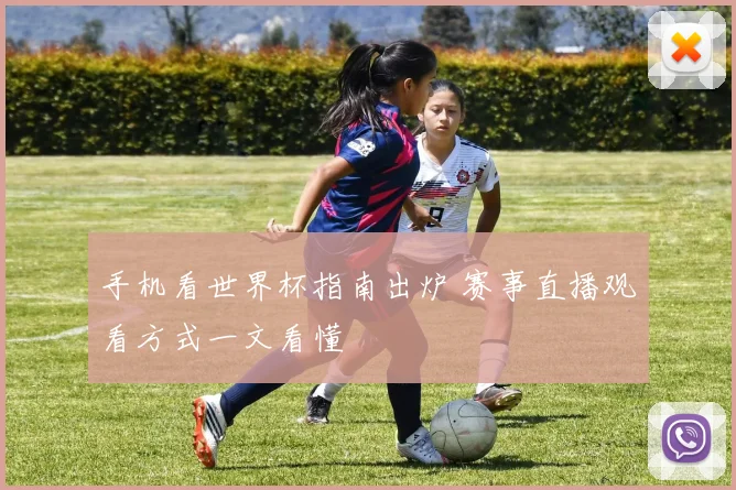 手机看世界杯指南出炉 赛事直播观看方式一文看懂