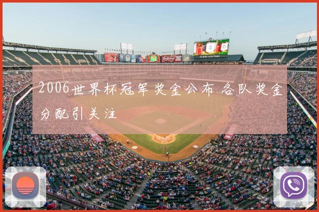2006世界杯冠军奖金公布 各队奖金分配引关注
