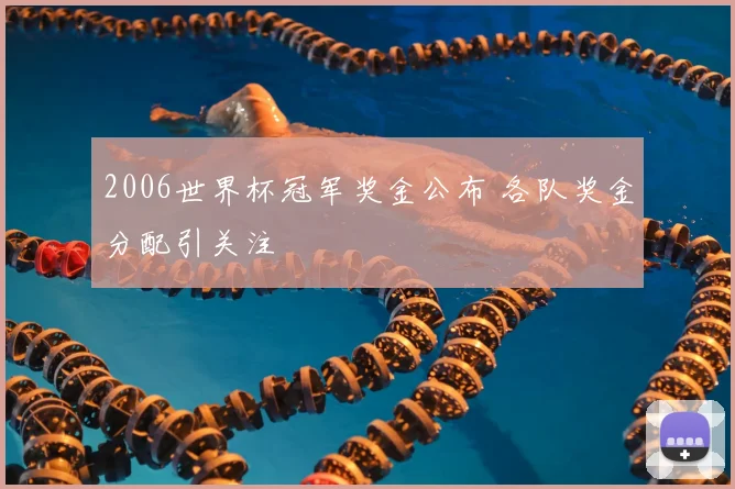 2006世界杯冠军奖金公布 各队奖金分配引关注