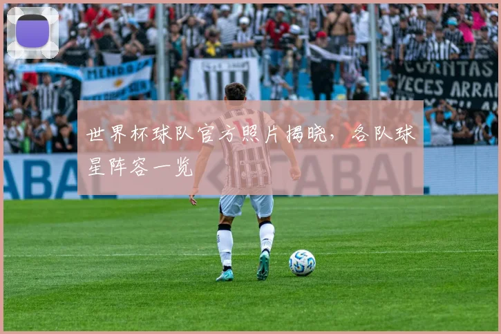 世界杯球队官方照片揭晓，各队球星阵容一览